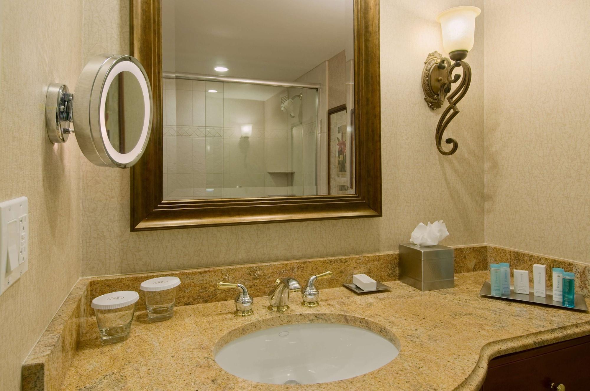 Doubletree By Hilton Lisle Naperville Bilik gambar